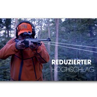 SH2 Drückjagd, Sauenhammer