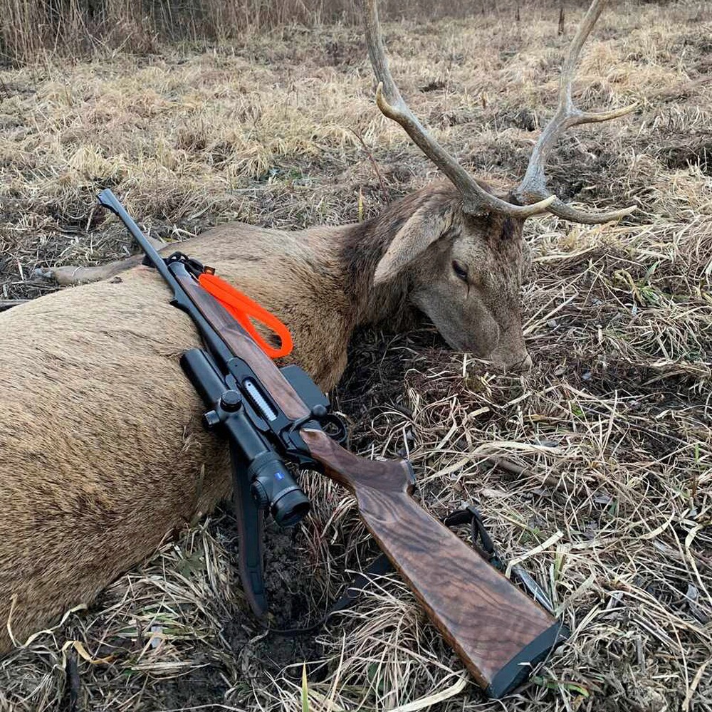 SH2 Drückjagd, Sauenhammer