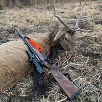 SH2 Drückjagd, Sauenhammer