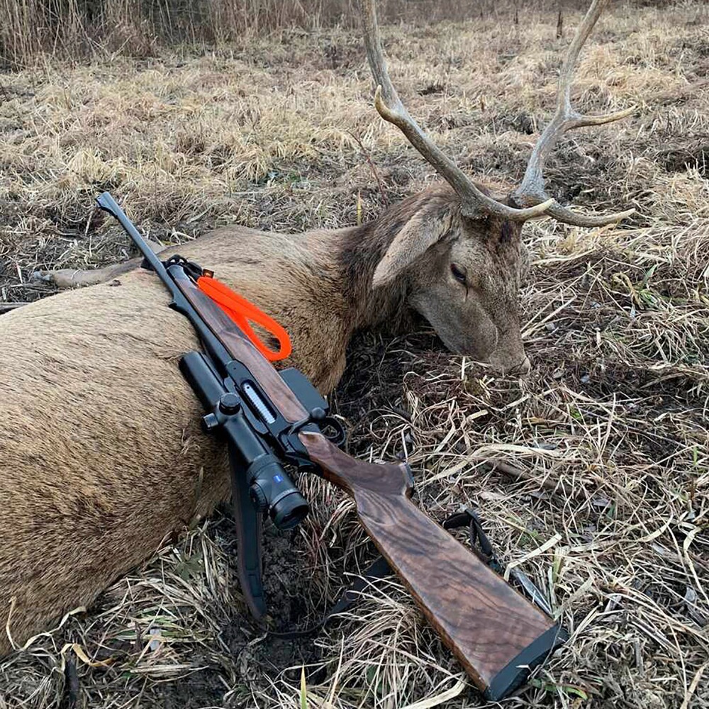 SH2 Drückjagd, Sauenhammer