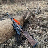 SH2 Drückjagd, Sauenhammer