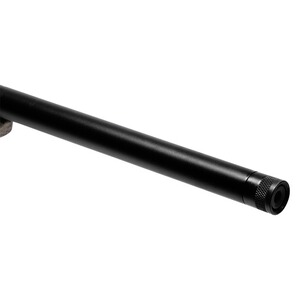 Carabine linéaire Impulse Predator, Savage Arms