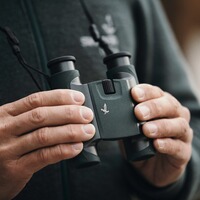 Jumelles CL Pocket 10x25 Wild Nature, Swarovski Optik