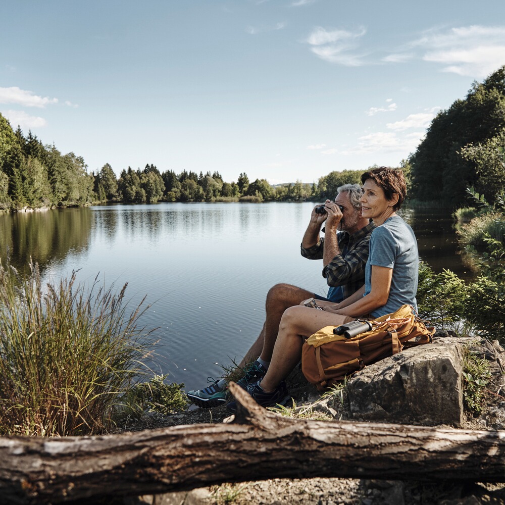 Jumelles CL Pocket 10x25 Wild Nature, Swarovski Optik