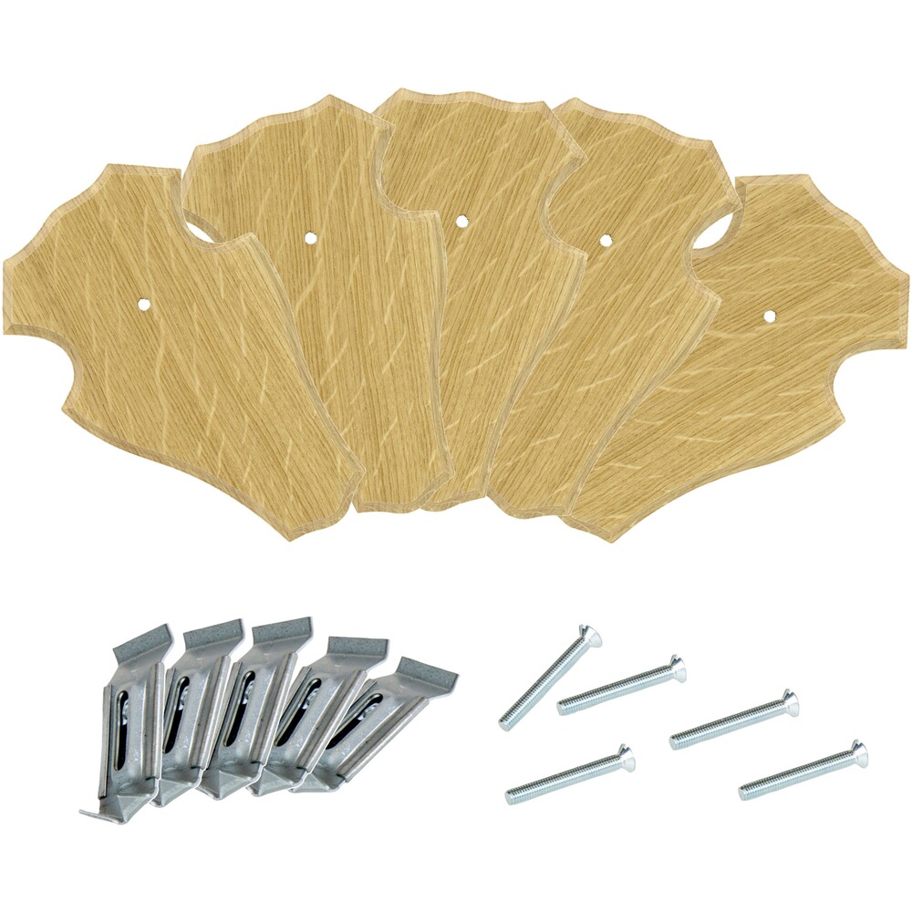 kit de 5 plaques trophées avec pinces et vis