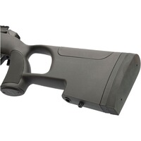 Carabine Urban Sniper, Mercury sport