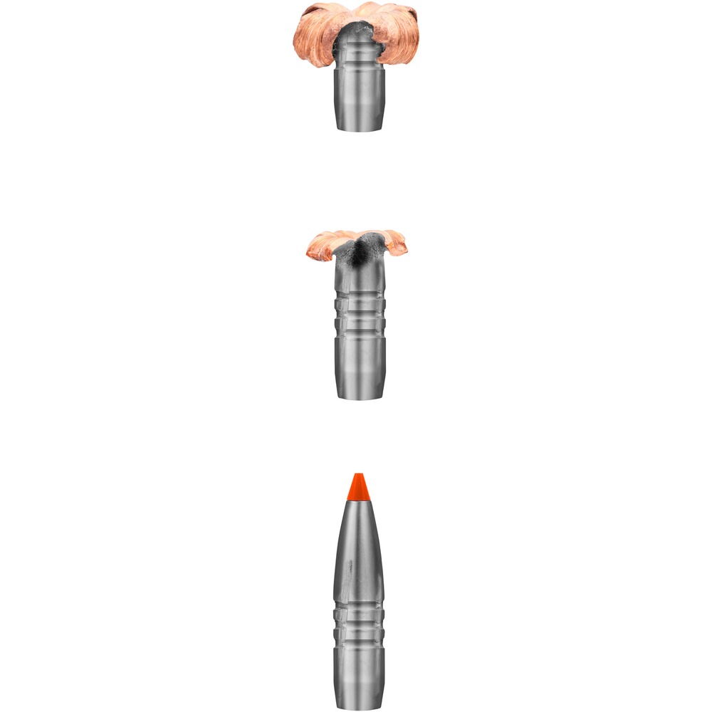 .308 Win., HIT (10,7gr), RWS