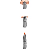 .308 Win., HIT (10,7gr), RWS