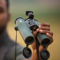 Jumelle NL Pure 10x32, Swarovski Optik