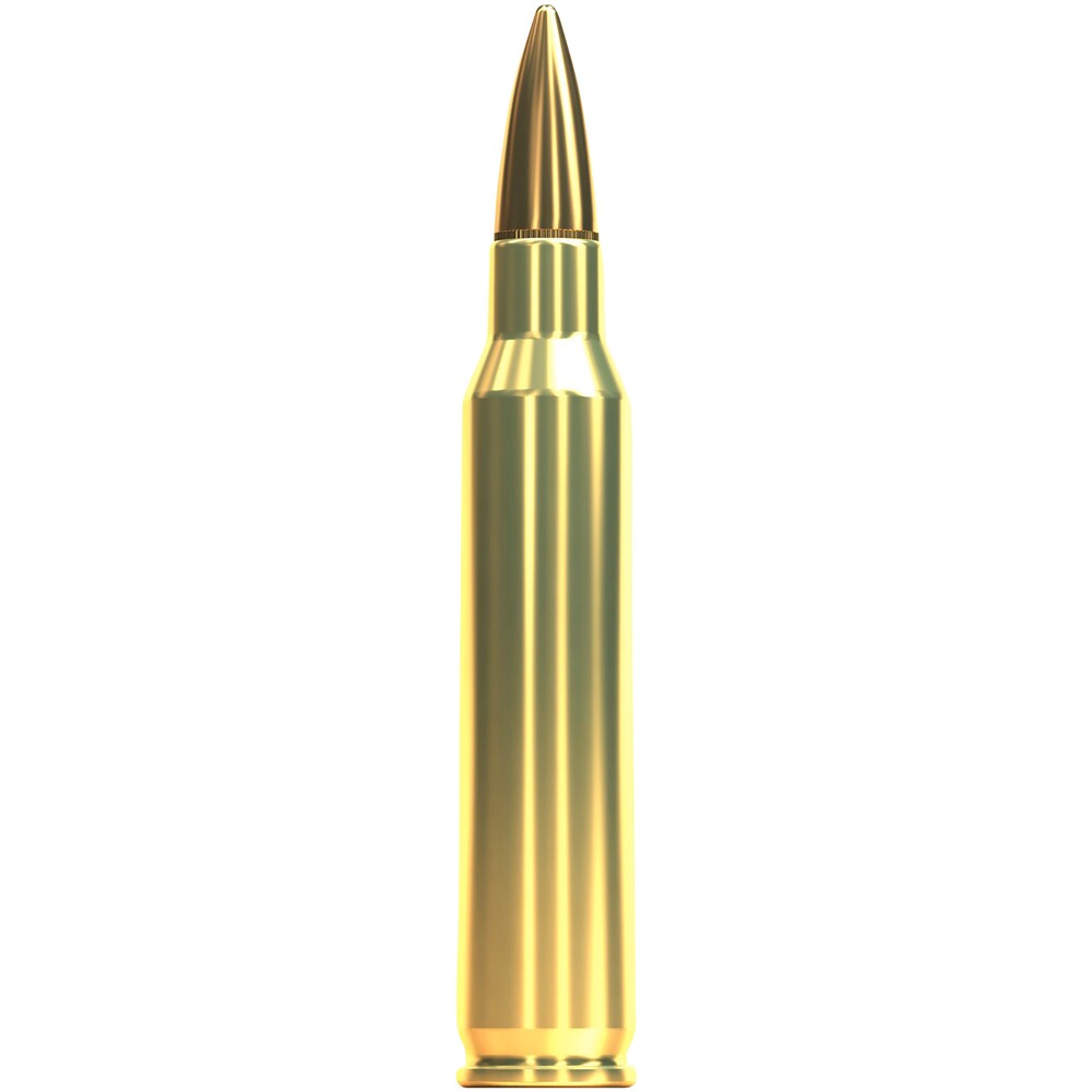 S+B .223Rem. FMJ 69grs. 100pièces, Sellier & Bellot