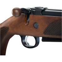 Carabine 600 Lux, CZ