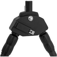 Bipied en carbone à deux pieds, Blaser