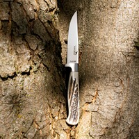 Couteau de chasse Capreolus, Parforce