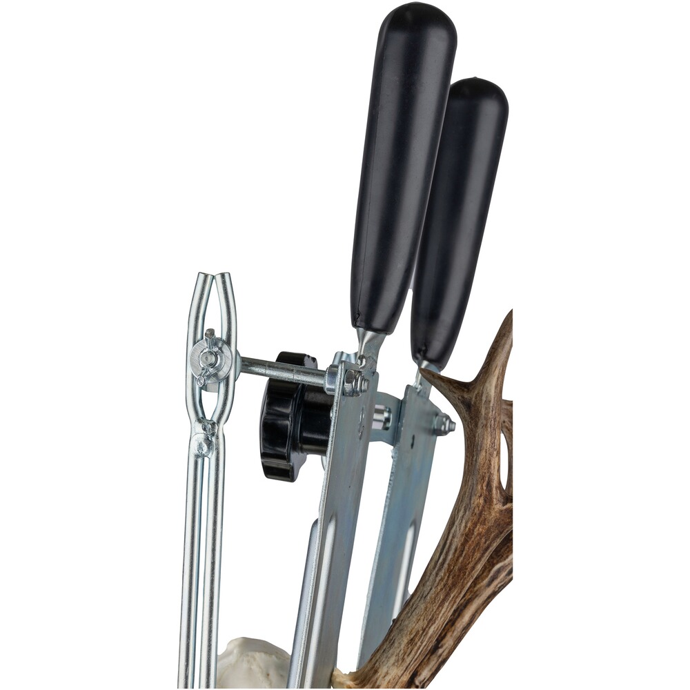 Gabarit de coupe, Frankonia