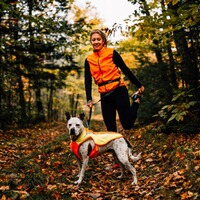 Gilet de sécurité pour chien Lumenglow™ Hi-Viz, Ruffwear