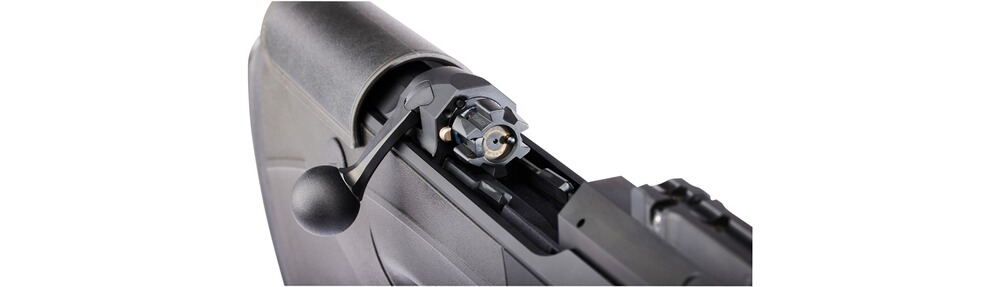 Carabine DR21 avec rail Basis Vario, Dentler