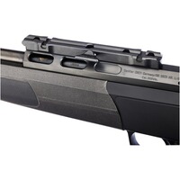 Carabine DR21 avec rail Basis, Dentler