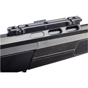 Carabine DR21 avec rail Basis, Dentler