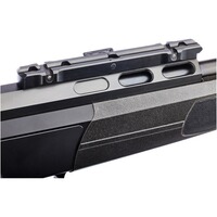 Carabine DR21 avec rail Basis, Dentler