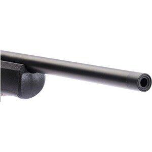 Carabine DR21 avec rail Basis Vario, Dentler