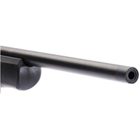 Carabine DR21 avec rail Basis, Dentler