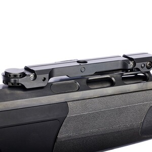 Carabine DR21 avec rail Basis Vario, Dentler