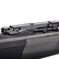 Carabine DR21 avec rail Basis Vario, Dentler