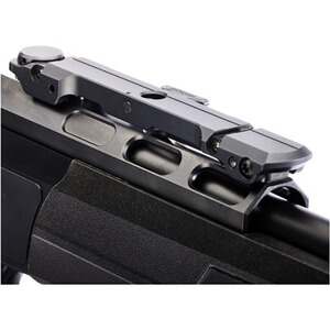 Carabine DR21 avec rail Basis Vario, Dentler