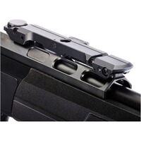 Carabine DR21 avec rail Basis Vario, Dentler