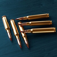 .308 Win. eXergy EDGE 10,7g/165grs., Sellier & Bellot