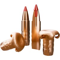 .308 Win. eXergy EDGE 10,7g/165grs., Sellier & Bellot