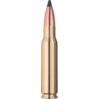.30-06 Spr. CDB 10,7g/165grs., Blaser