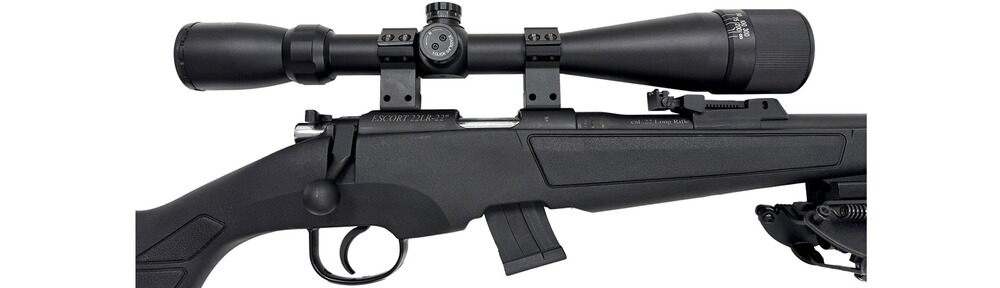 Pack carabine synthétique 22LR + Lunette 4-16x32