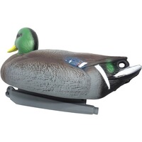 Formes Colvert mâle et femelle, Parforce