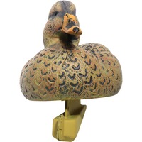 Formes Colvert mâle et femelle, Parforce