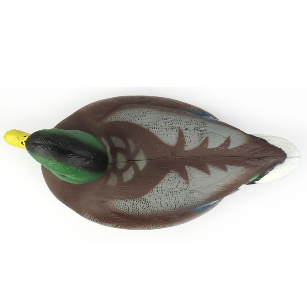Formes Colvert mâle et femelle, Parforce