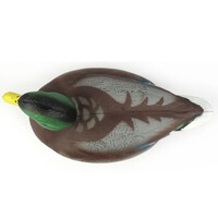Formes Colvert mâle et femelle, Parforce