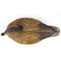 Formes Colvert mâle et femelle, Parforce