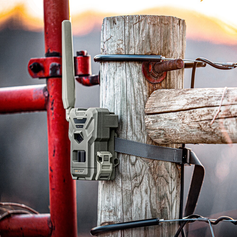 Pack de 2 pièges photos Flex M, Spypoint