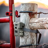 Pack de 2 pièges photos Flex M, Spypoint