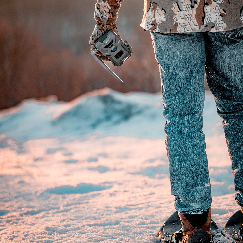 Pack de 2 pièges photos Flex M, Spypoint