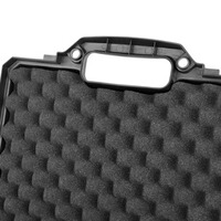 Mallette pour pistolet GSG, German Sport Guns