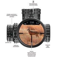 Lunette Veracity PH 3-15x44, Burris