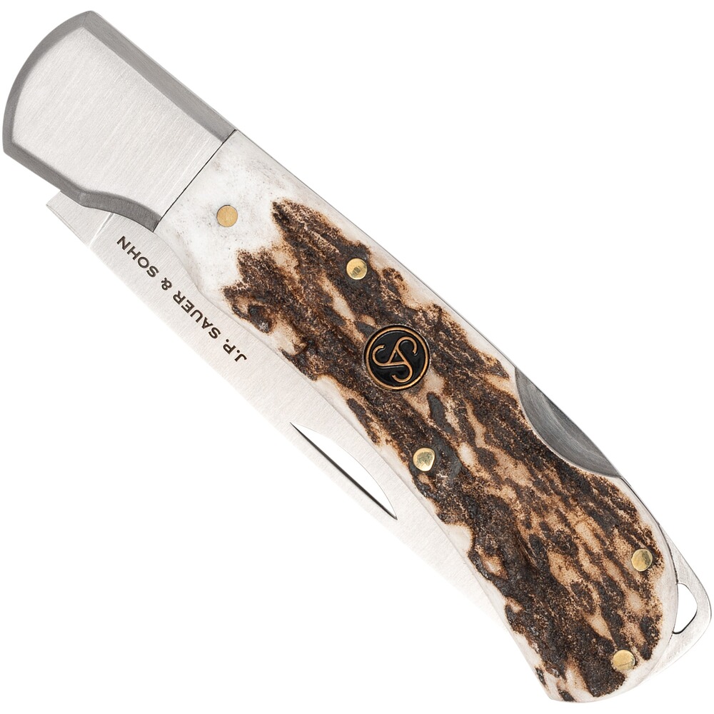 Couteau pliant en bois de cerf, SAUER