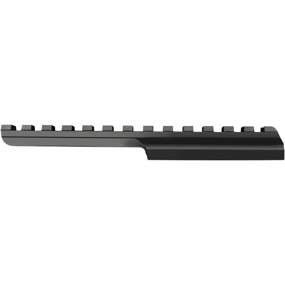Rail Picatinny M 25
