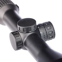 RS-4 2,5-10x50 avec rail