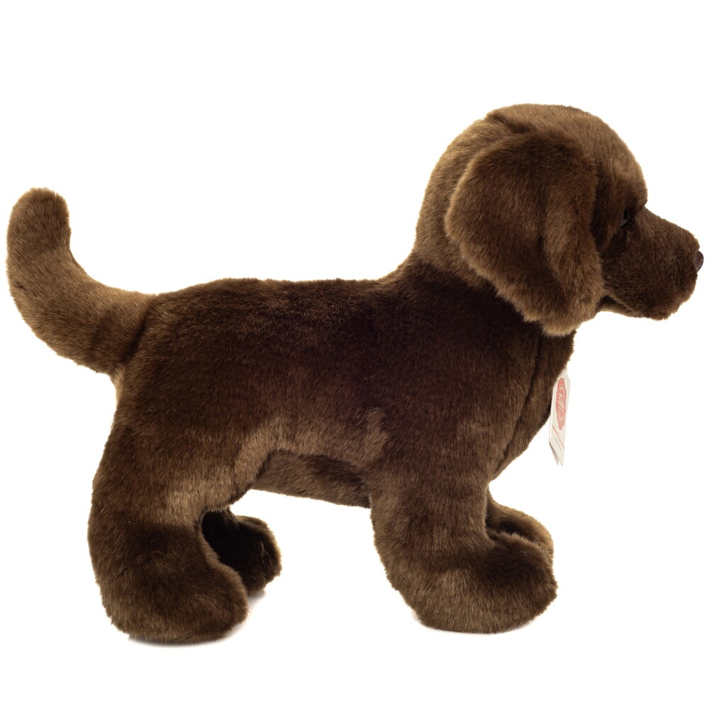 Peluche Labrador debout 30 cm, Teddy