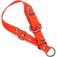 Collier pour chien Professional Orange, Blaser