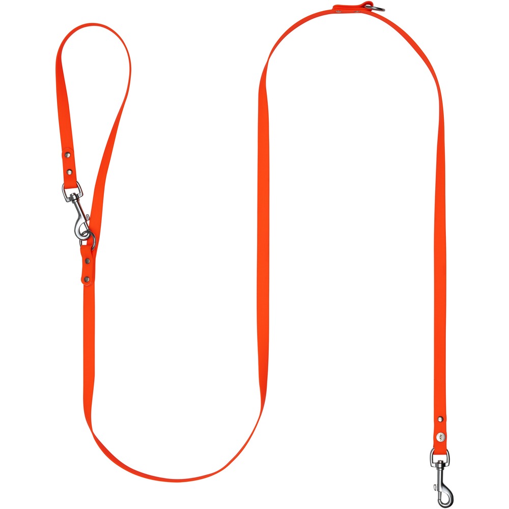 Laisse pour chien Professional Orange