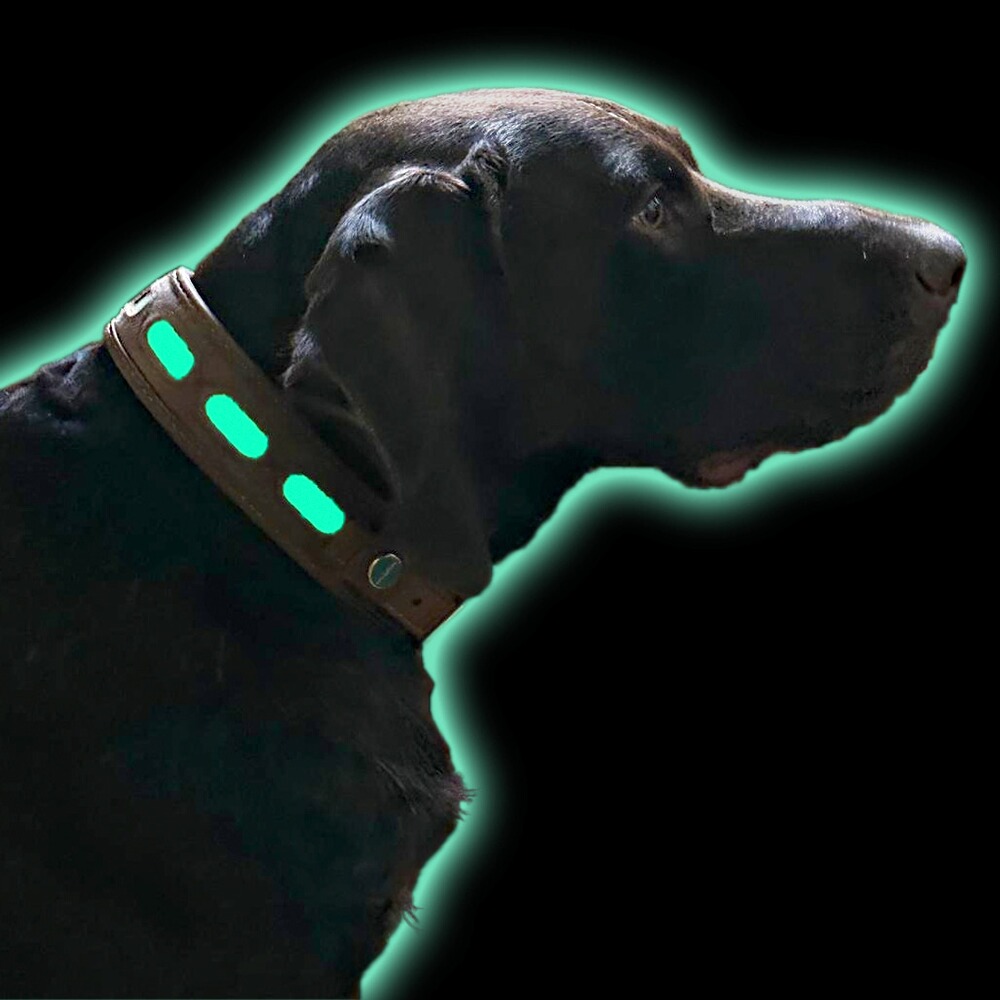 Collier en cuir Lichtblick, Niggeloh